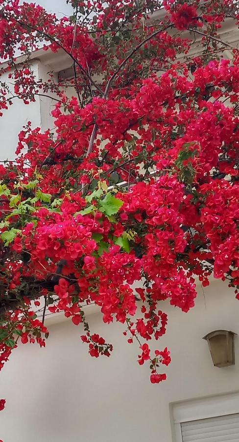 Stamatias Home, Fully Equipped Cottage 5 Minutes From The Sea Χανιά Εξωτερικό φωτογραφία